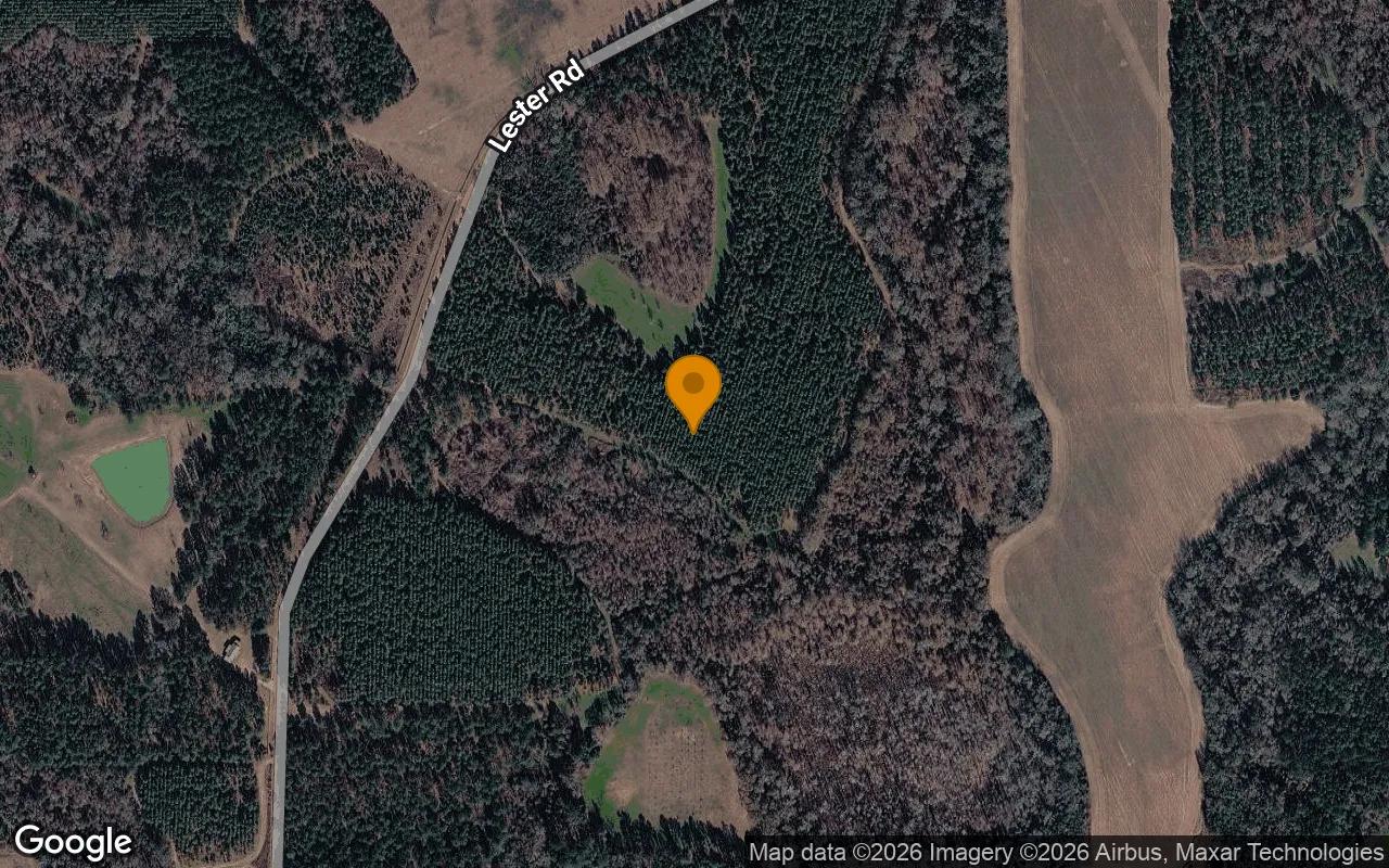 Decorative background for 124.82 Acres in Montezuma - Dooly County, GA image 6