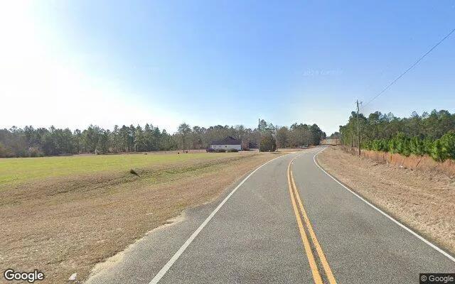 Decorative background for 1.02 Acres in Tarrytown - Montgomery County, GA image 6