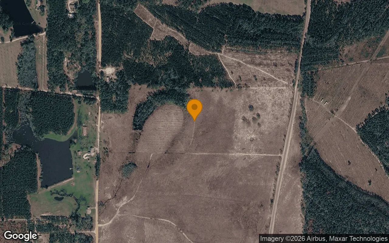 35 Acres in Baxley - Appling County, GA in Appling County, Georgia