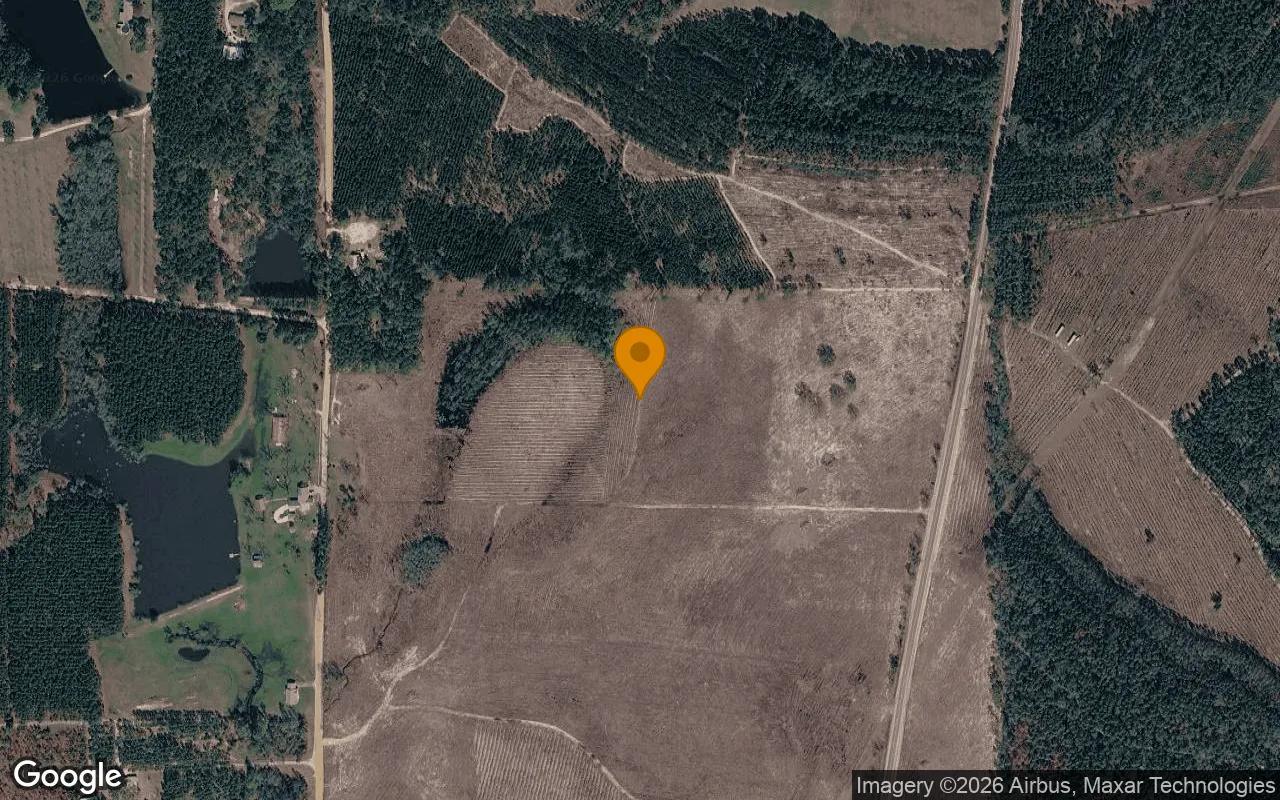 35 Acres in Baxley - Appling County, GA - Main image