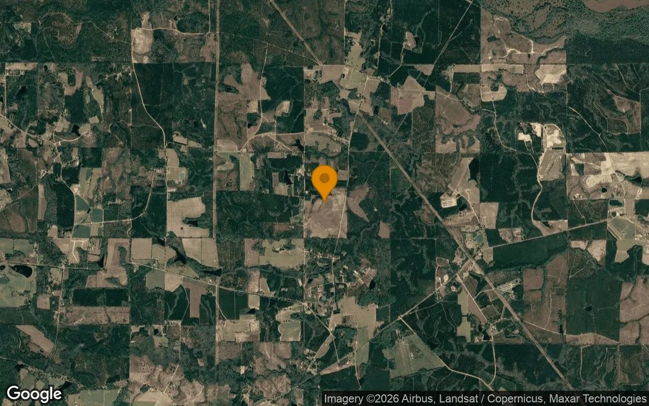 35 Acres in Baxley - Appling County, GA in Appling County, Georgia