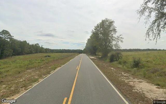 Decorative background for 35 Acres in Baxley - Appling County, GA image 5