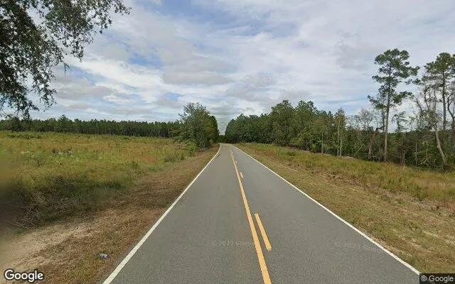 Decorative background for 35 Acres in Baxley - Appling County, GA image 6