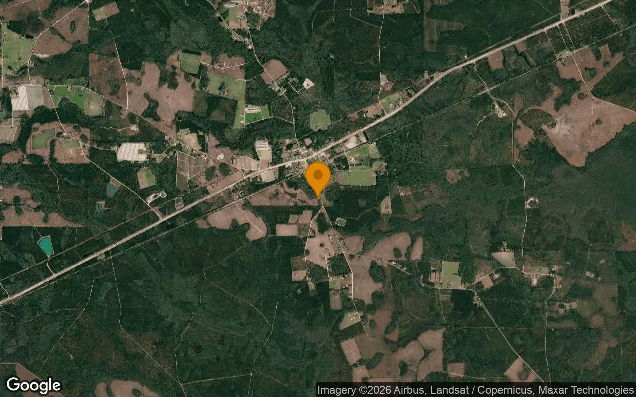 0.48 Acres in Manor - Ware County, GA - Image 3