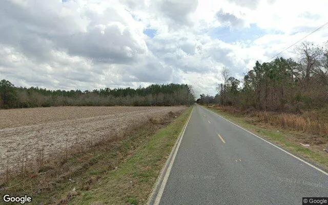 Decorative background for 0.48 Acres in Manor - Ware County, GA image 5