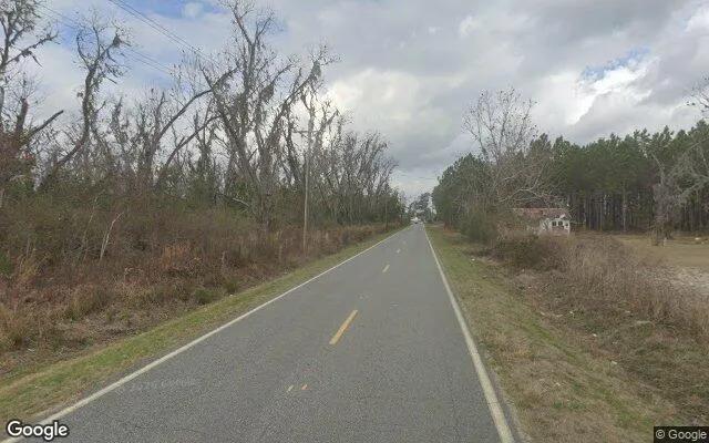Decorative background for 0.48 Acres in Manor - Ware County, GA image 6
