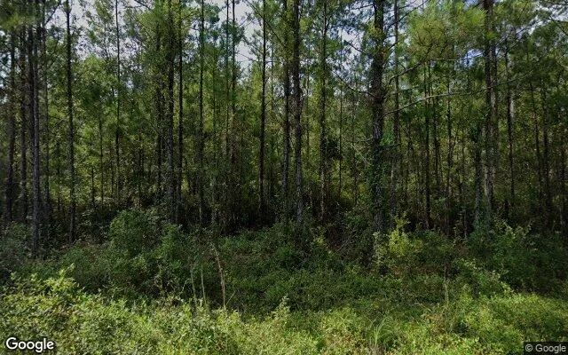 0.5 Acres in Waynesville - Brantley County, GA in Brantley County, Georgia