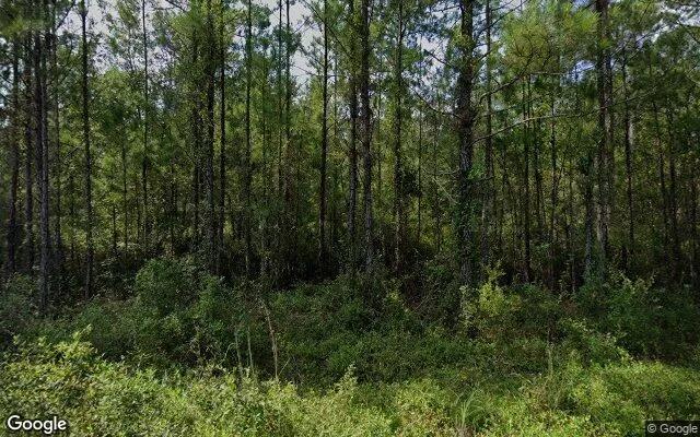 0.5 Acres in Waynesville - Brantley County, GA - Image 4
