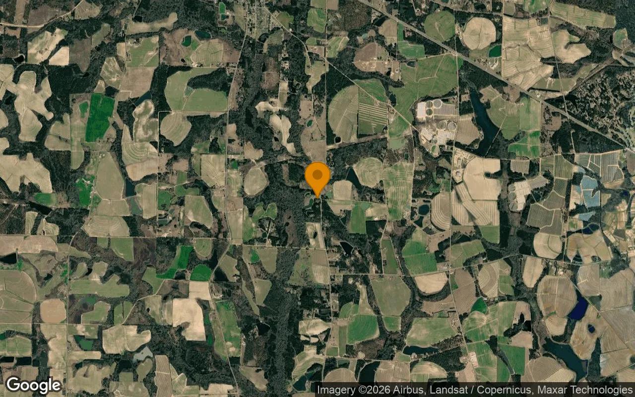 0.14 Acres in Ty Ty - Tift County, GA - Image 3
