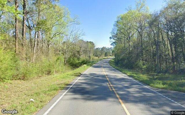 Decorative background for 34.93 Acres in Cairo - Grady County, GA image 5