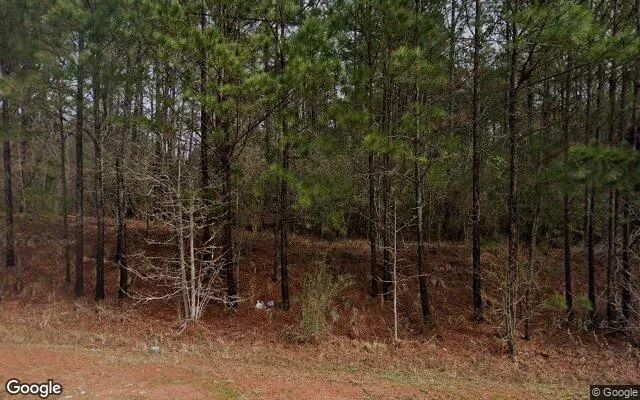 3.51 Acres in Flovilla - Butts County, GA in Butts County, Georgia