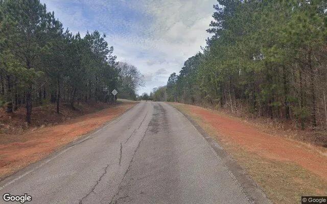 Decorative background for 3.51 Acres in Flovilla - Butts County, GA image 5