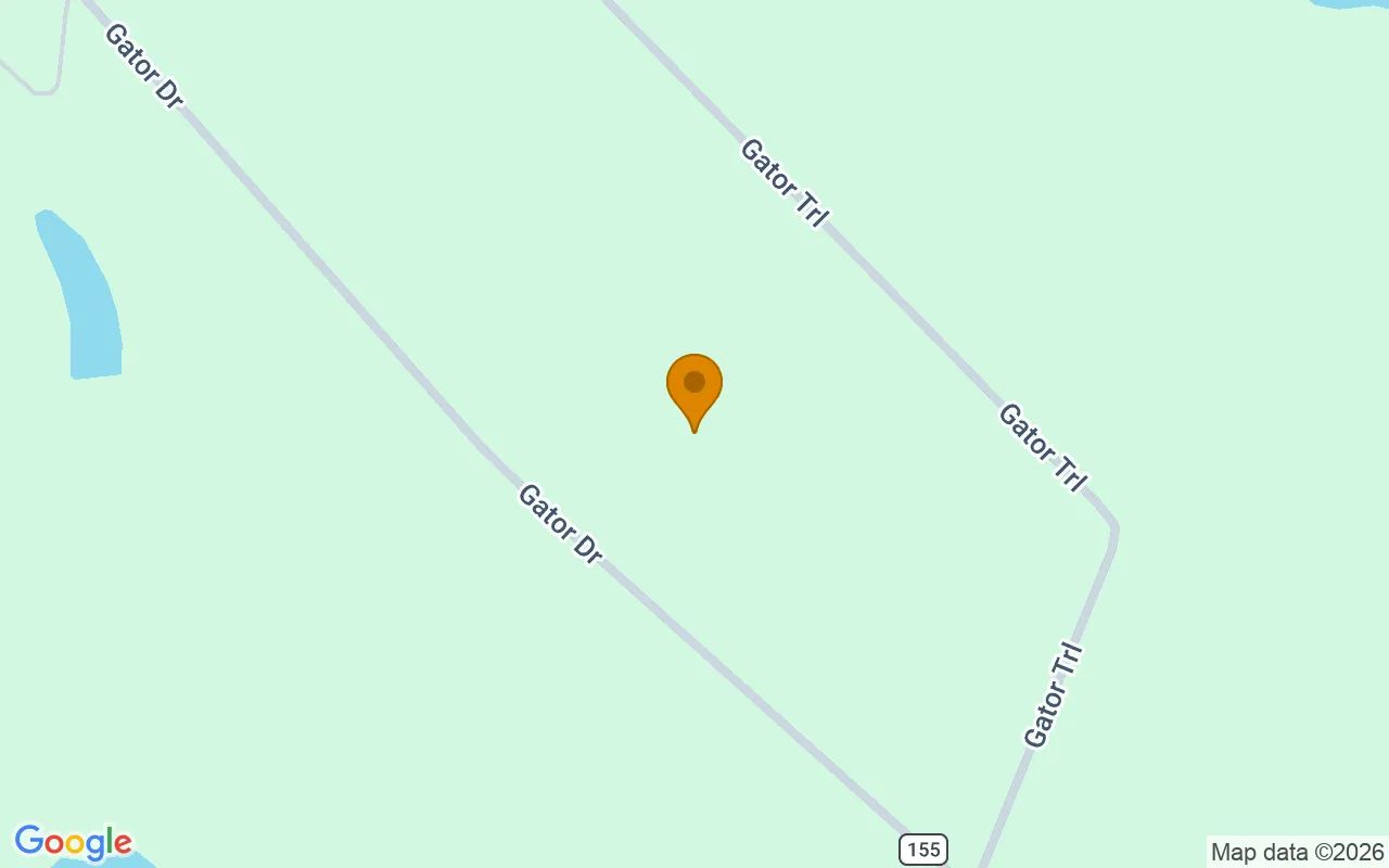 35.26 Acres in Alamo - Wheeler County, GA in Wheeler County, Georgia