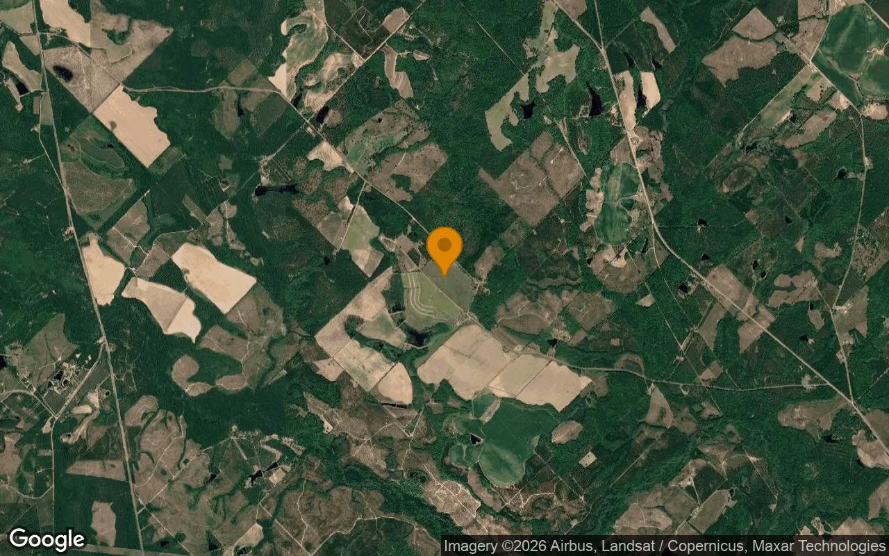 35.26 Acres in Alamo - Wheeler County, GA in Wheeler County, Georgia
