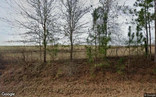 35.26 Acres in Alamo - Wheeler County, GA in Wheeler County, Georgia