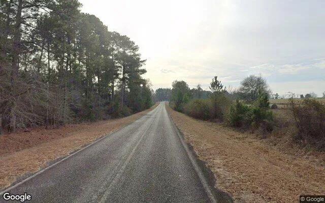 Decorative background for 35.26 Acres in Alamo - Wheeler County, GA image 5