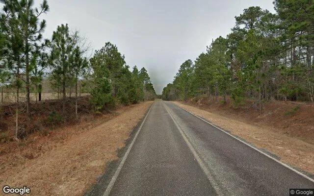 Decorative background for 35.26 Acres in Alamo - Wheeler County, GA image 6
