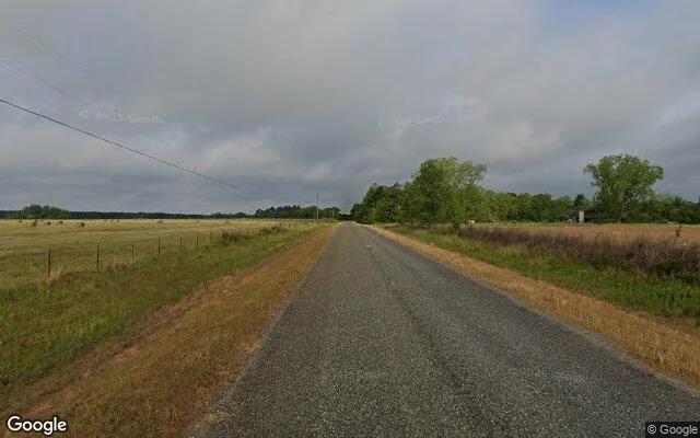 Decorative background for 34.84 Acres in Ocilla - Irwin County, GA image 6