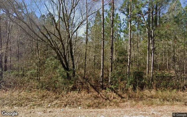 3.52 Acres in Claxton - Evans County, GA in Evans County, Georgia