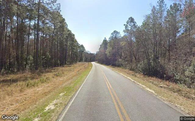 Decorative background for 3.52 Acres in Claxton - Evans County, GA image 5