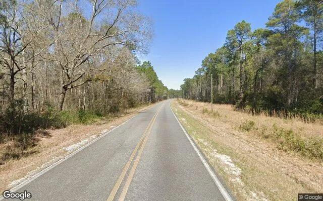 Decorative background for 3.52 Acres in Claxton - Evans County, GA image 6
