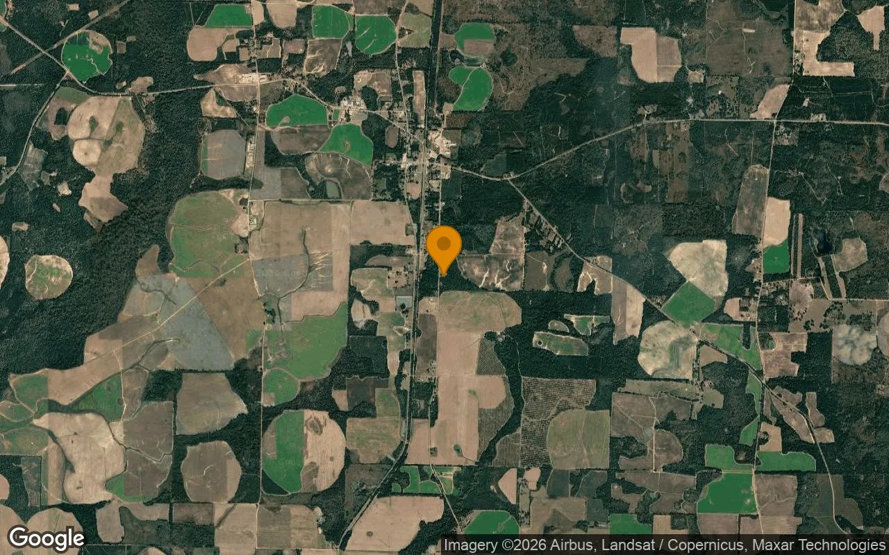 0.74 Acres in Damascus - Early County, GA in Early County, Georgia