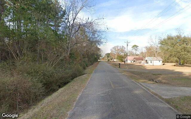 Decorative background for 0.74 Acres in Damascus - Early County, GA image 5