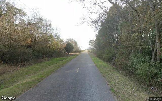 Decorative background for 0.74 Acres in Damascus - Early County, GA image 6