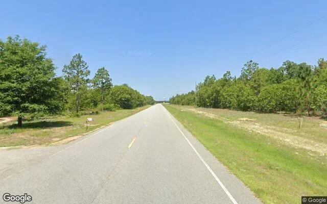 Decorative background for 3.5 Acres in Twin City - Emanuel County, GA image 5