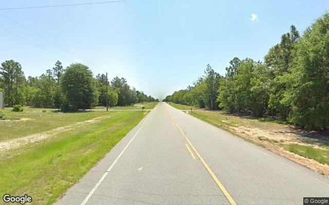 Decorative background for 3.5 Acres in Twin City - Emanuel County, GA image 6