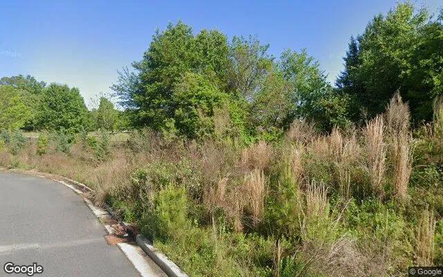 Decorative background for 3.52 Acres in Gainesville - Forsyth County, GA image 6