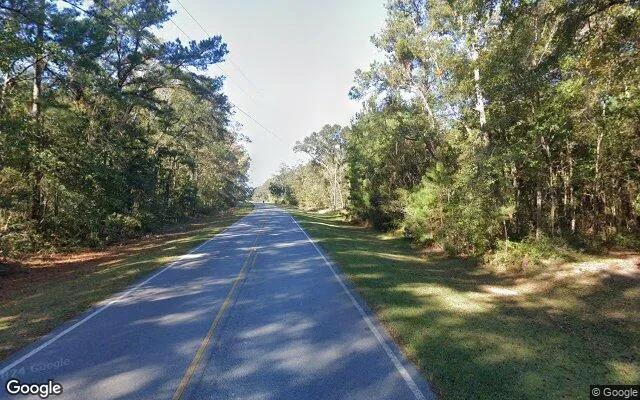 Decorative background for 0.55 Acres in Riceboro - Liberty County, GA image 5