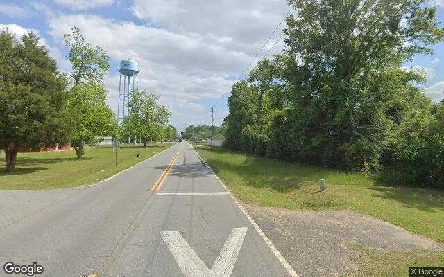 Decorative background for 0.23 Acres in Vienna - Dooly County, GA image 5