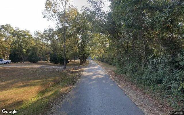 Decorative background for 0.28 Acres in Milner - Lamar County, GA image 5