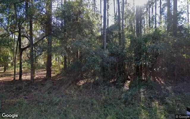 0.55 Acres in Townsend - McIntosh County, GA in McIntosh County, Georgia