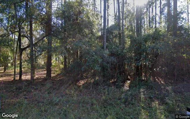 0.55 Acres in Townsend - McIntosh County, GA - Image 4