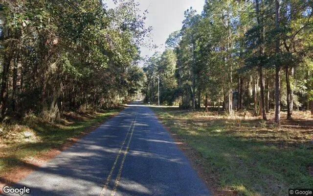 Decorative background for 0.55 Acres in Townsend - McIntosh County, GA image 5