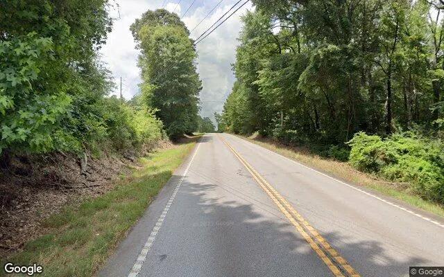 Decorative background for 0.29 Acres in Hillsboro - Jasper County, GA image 6