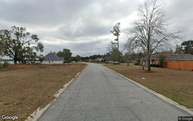 Decorative background for 0.55 Acres in Naylor - Lowndes County, GA image 6