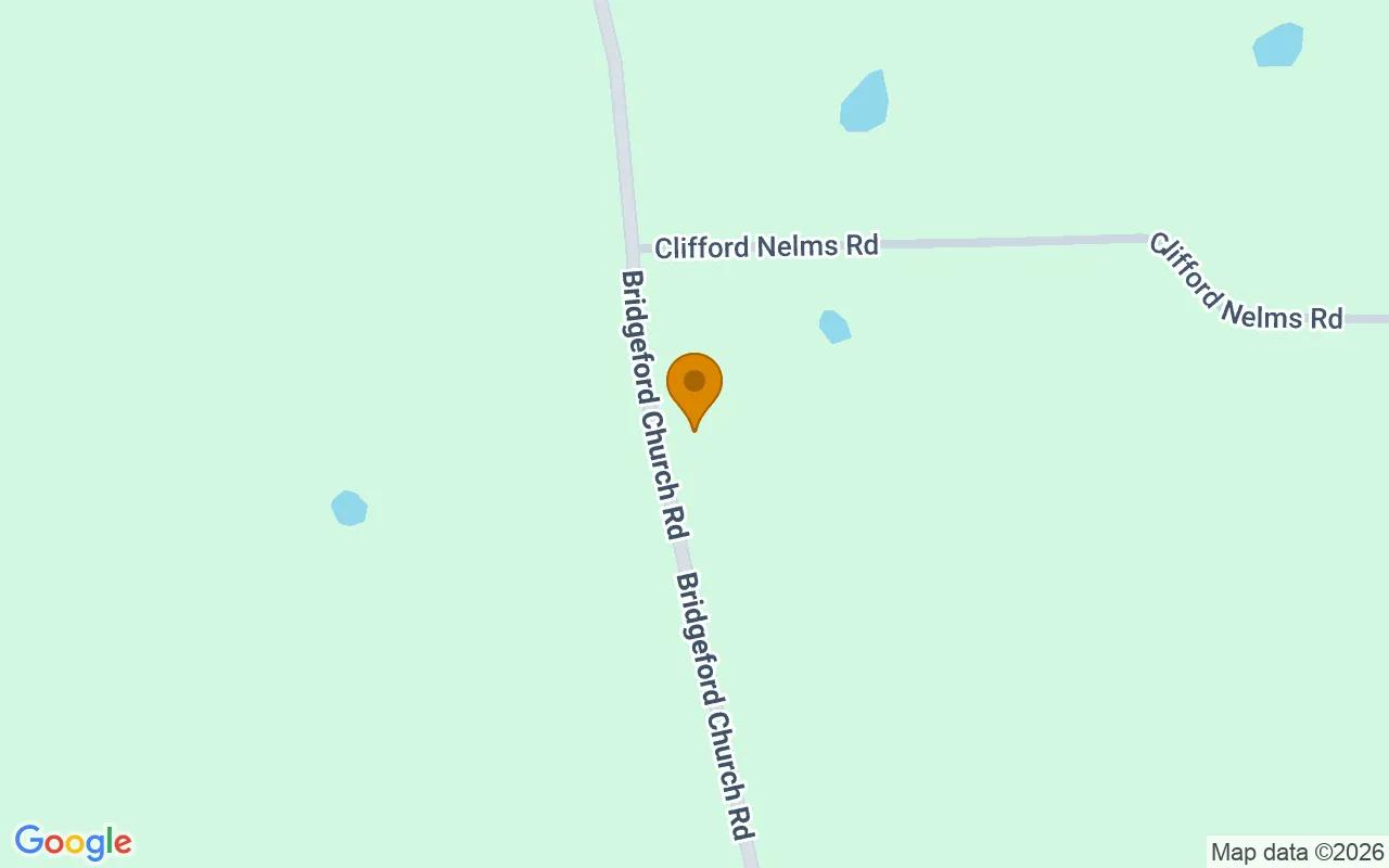 0.54 Acres in Hazlehurst - Jeff Davis County, GA - Image 2