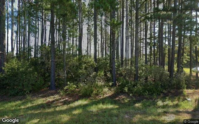 0.54 Acres in Hazlehurst - Jeff Davis County, GA in Jeff Davis County, Georgia