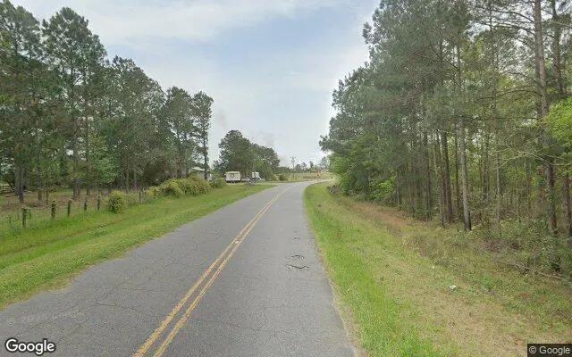 Decorative background for 35.05 Acres in Pelham - Grady County, GA image 5