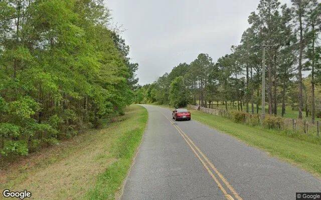 Decorative background for 35.05 Acres in Pelham - Grady County, GA image 6