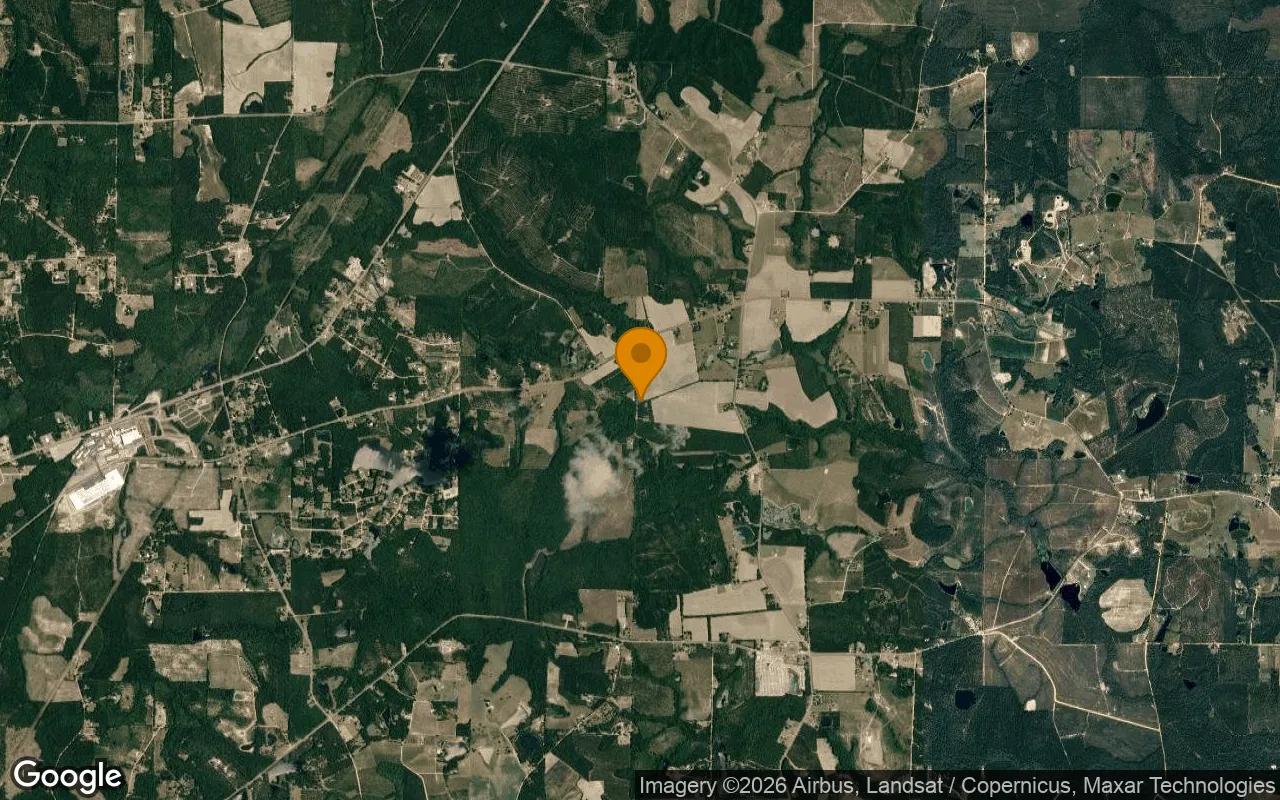 0.55 Acres in Hazlehurst - Jeff Davis County, GA - Image 3
