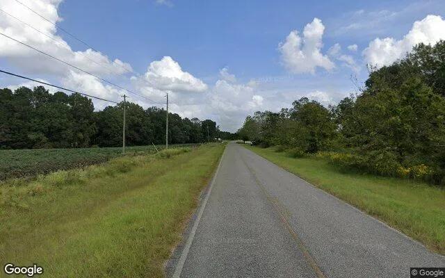 Decorative background for 0.55 Acres in Hazlehurst - Jeff Davis County, GA image 5
