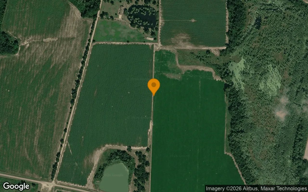 124.92 Acres in Sycamore - Turner County, GA in Turner County, Georgia