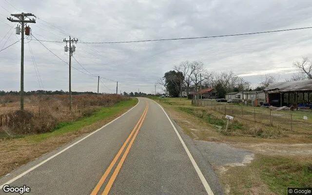 Decorative background for 124.92 Acres in Sycamore - Turner County, GA image 6