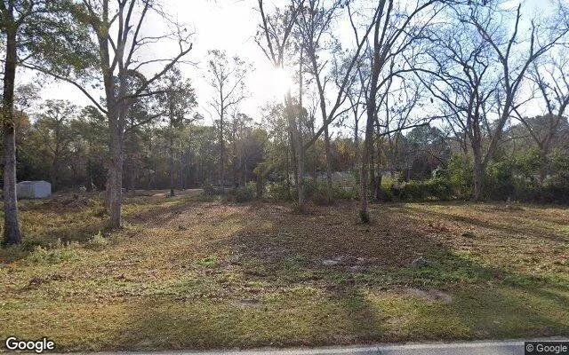 0.17 Acres in Rocky Ford - Screven County, GA - Image 4