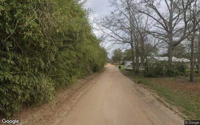 Decorative background for 0.64 Acres in West Green - Coffee County, GA image 5