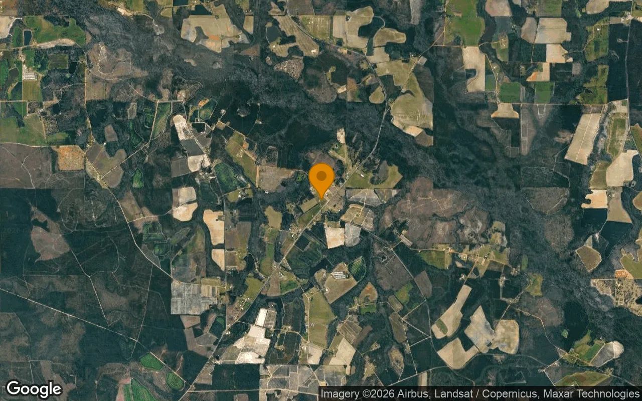 7.45 Acres in Alma - Bacon County, GA in Bacon County, Georgia